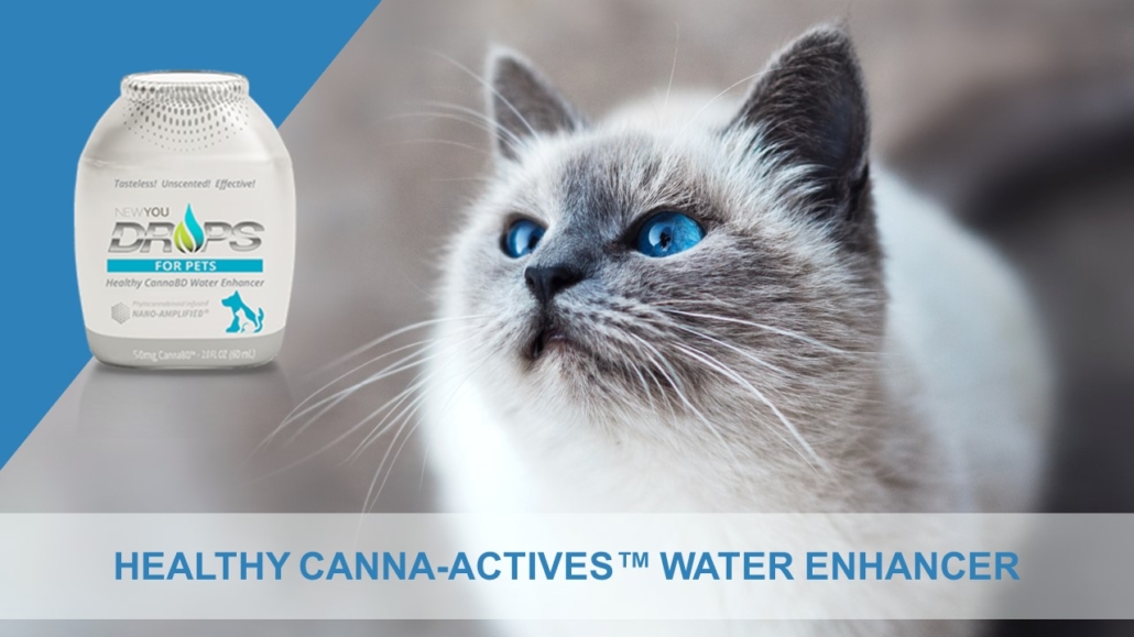 NEWYOU cbd Drops for Pets Banner