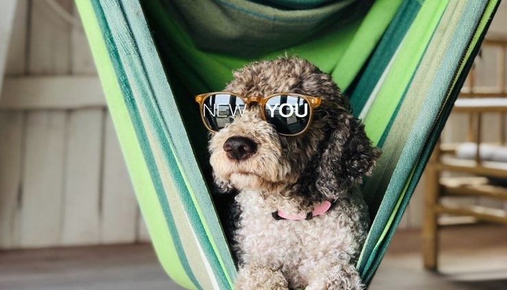 NEWYOU Drops for Pets Image Sun Glasses